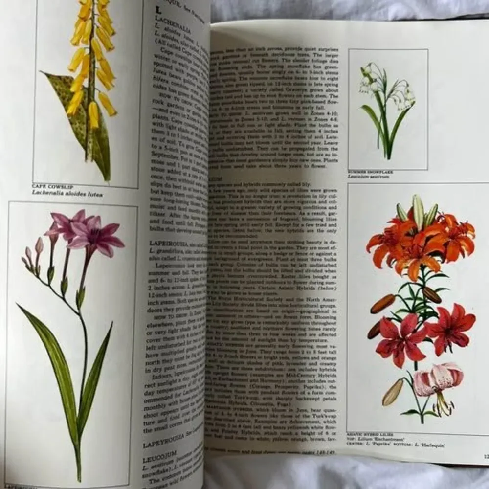 Bulbs, The Time-Life Encyclopedia of Gardening